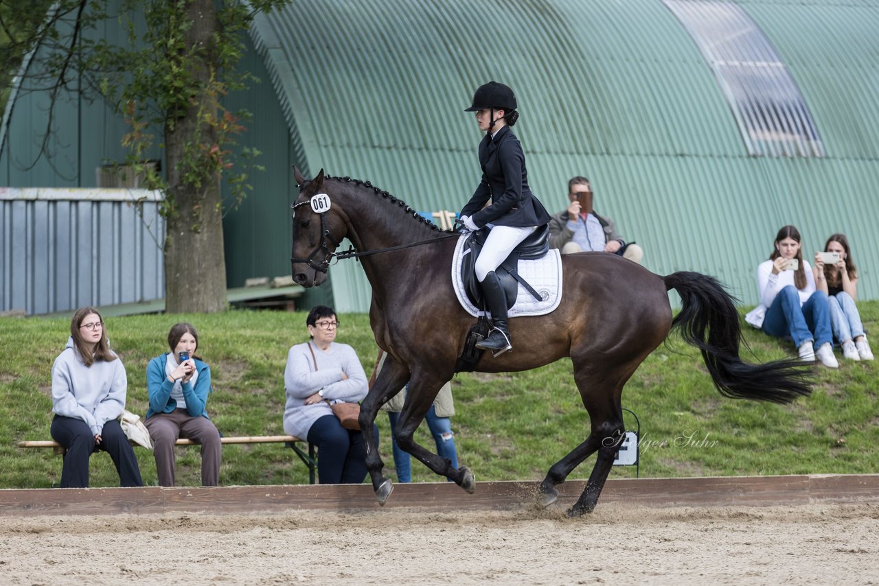 Bild 239 - Pony Akademie Turnier